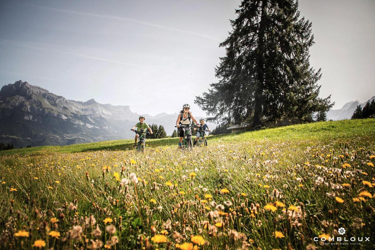 Chalet Alpen Valley, Mont-Blanc Combloux Zewnętrze zdjęcie