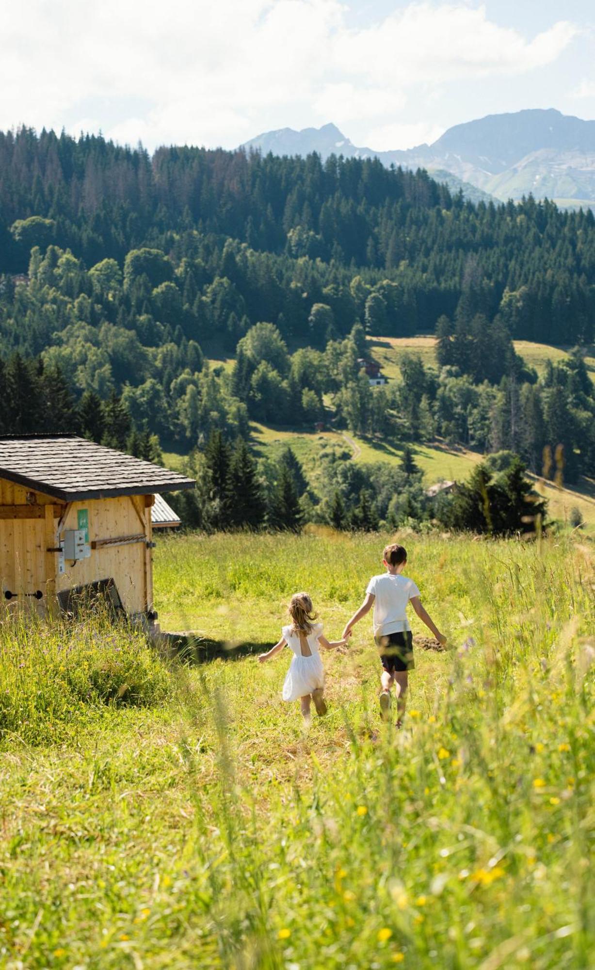 Chalet Alpen Valley, Mont-Blanc Combloux Zewnętrze zdjęcie
