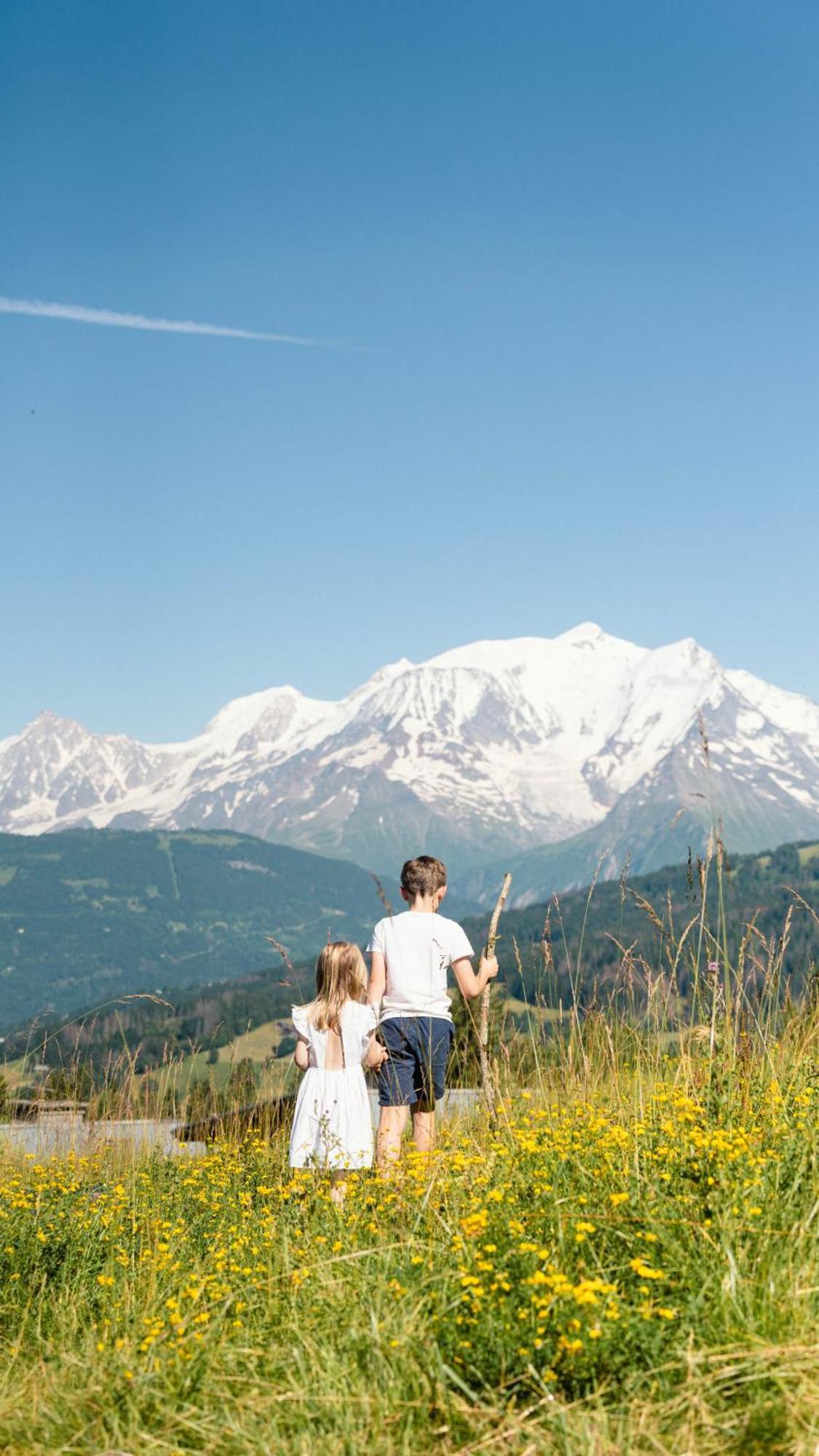 Chalet Alpen Valley, Mont-Blanc Combloux Zewnętrze zdjęcie